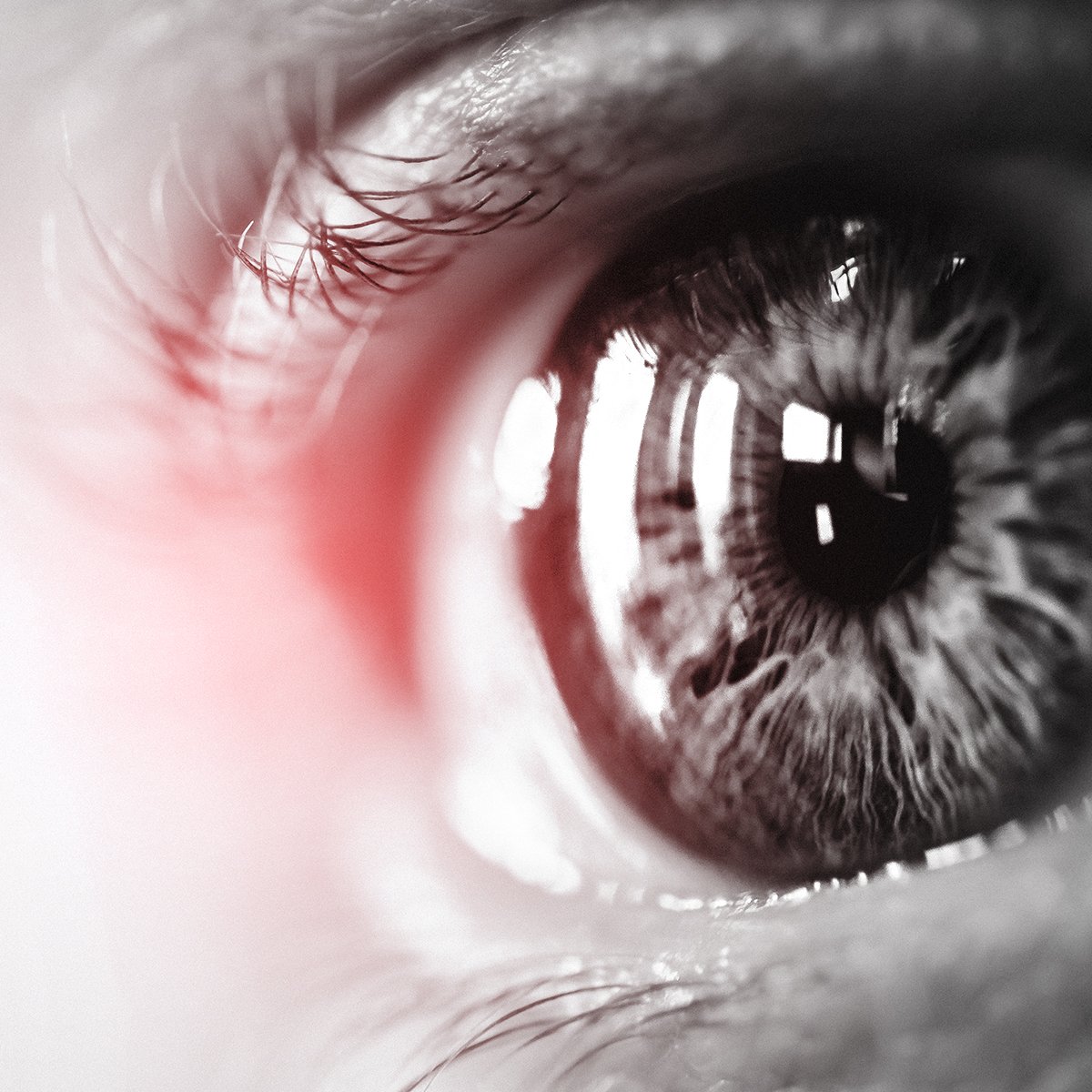 👀 La Revolución de la Claridad: Nuestra Guía Definitiva sobre Lentes de Contacto para Miopía y Astigmatismo